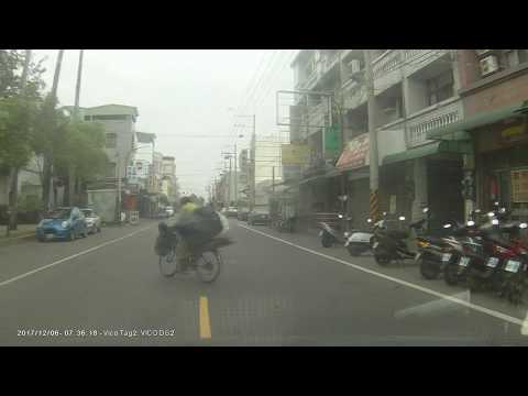 1061民雄鄉東榮路超級三寶出沒