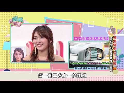 Andy老爹教學示範:如何路邊停車與倒車入庫年代MUCH台 聽媽媽的話