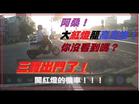 三寶出門了！阿桑！大紅燈籠高高掛啊！～沒看到嗎？