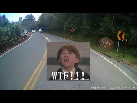 大家來吃三寶飯Vol.35