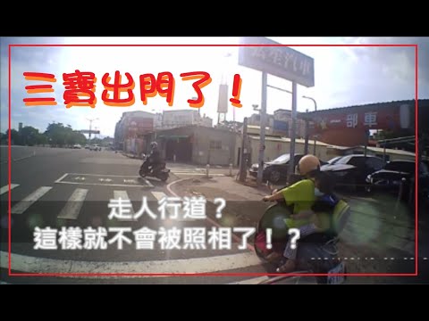 三寶出門了！走人行道！這樣就不會被照相了！？