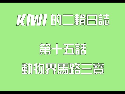 KIWI的二輪日誌第十五話-動物界馬路三寶