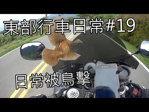 東部行車日常 | 日常被鳥擊 | 酷龍150、YZF R1