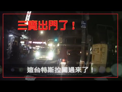 三寶出門了！小心！這台特斯拉闖過來了！