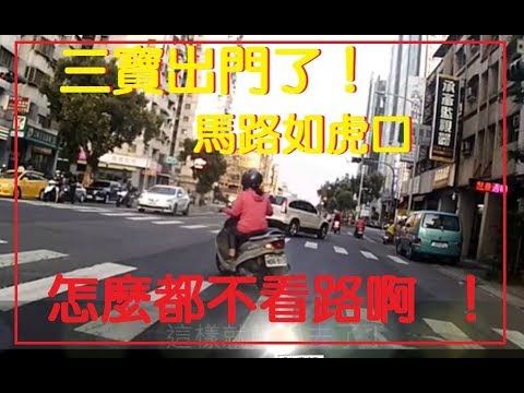三寶出門了！怎麼都不看路啊 ！