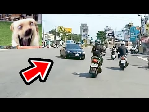 台灣三寶6&日常扭屁股 跨雙黃 甩尾 違停 各式三寶應有盡有