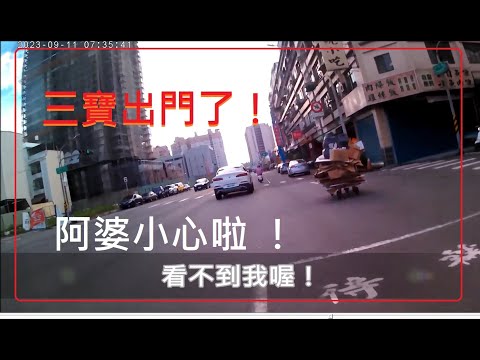 三寶出門了！阿婆！小心啦！