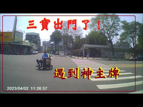 三寶出門了！遇到三寶神主牌闖紅燈！！