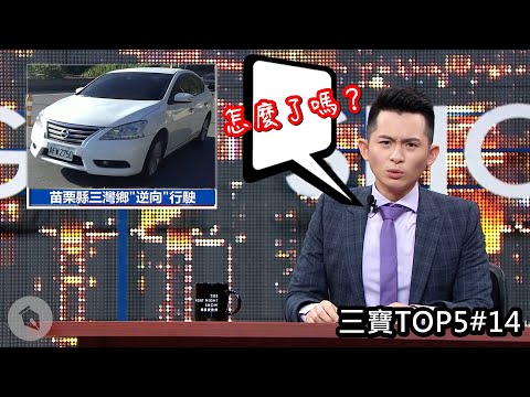 《三寶日常》原來是準備左轉啊，我還以為是逆向呢~