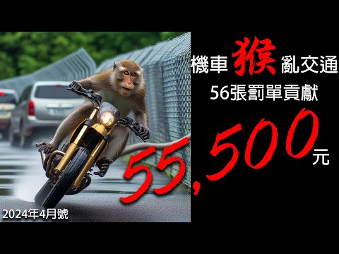 機車猴子亂交通 只好祭出56張罰單_馬路三寶_Idiot Driver In Taiwan