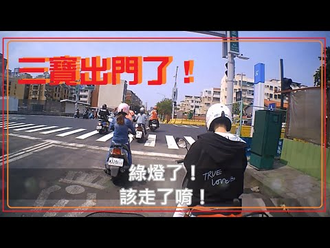 三寶出門了！綠燈了！該走了喔！