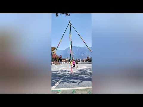 我在霧台錯過櫻花王