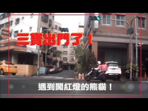 三寶出門了！遇到闖紅燈的熊貓！