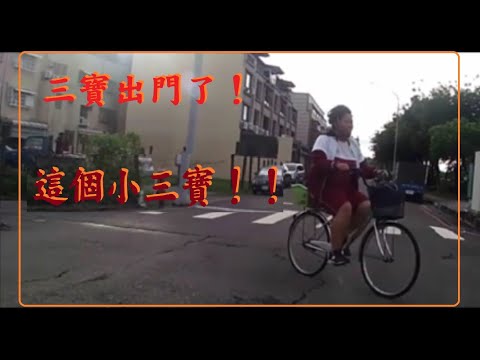 三寶出門了  雙黃線是假的嗎？