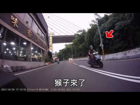 機車人生｜突發事件｜車友差點被人肉魚雷擊落了｜HONDA FORZA750