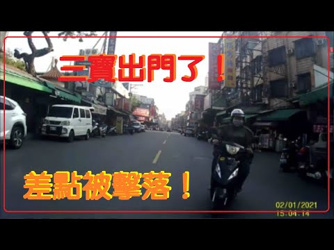 三寶出門了！差一點被三寶機車擊落！！