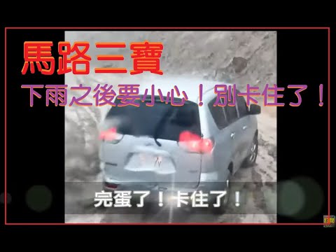 馬路三寶 下雨之後～有些路要小心！別卡住了！