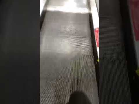 三寶逆向行駛 造成地板重傷