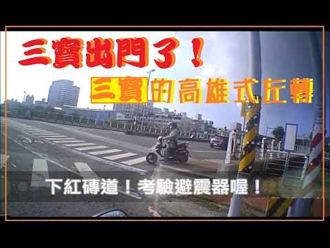 三寶出門了！三寶完全演繹高雄式左轉！