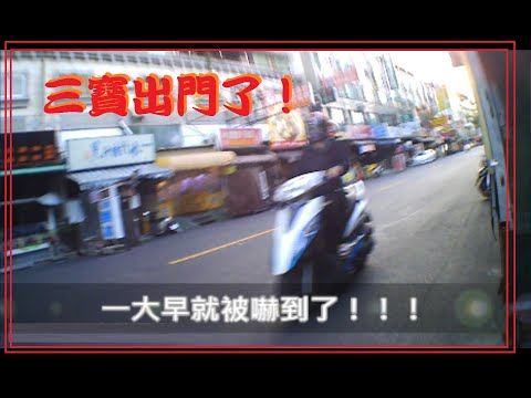 三寶出門了！一大早就被逆向機車嚇到了！