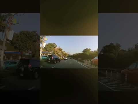 三寶觀察室EP-14 這種開法會不會太誇張了～