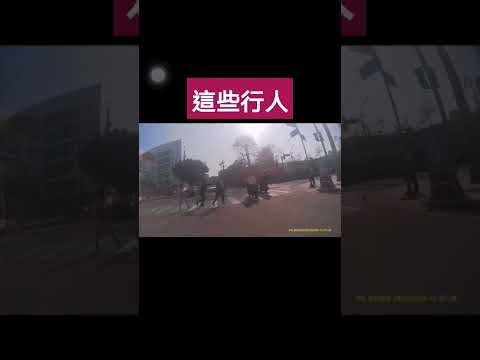 馬路三寶 被行人嚇到了！網友投稿喔！