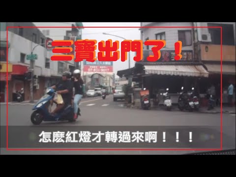 三寶出門了！怎麼紅燈了才轉過來啊！