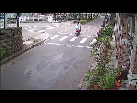 （馬路是我的）戰鬥吧！三寶 ！