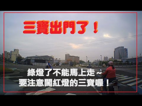 三寶出門了！終於下雨了！三寶冒雨出現！