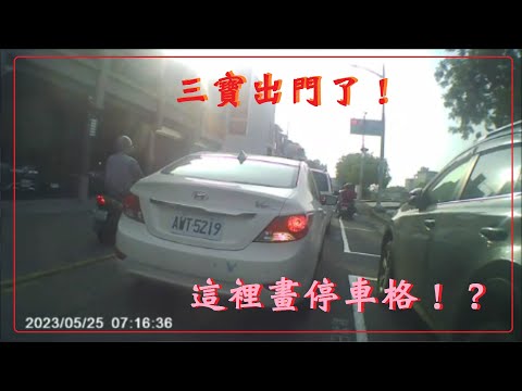 三寶出門了！這裡畫停車格？這樣怎麽過！？