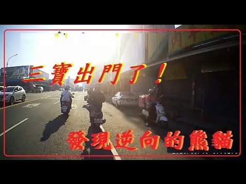 三寶出門了！發現逆向的熊貓