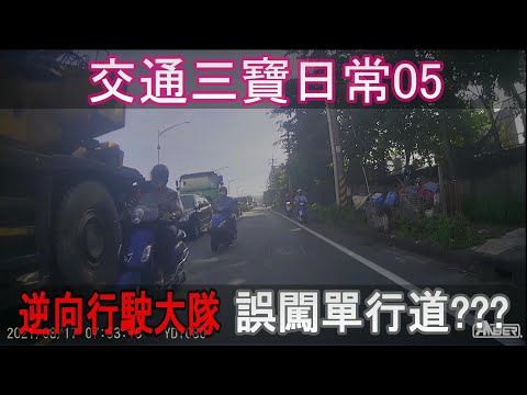 交通三寶日常05 誤闖單行道???逆向大軍來襲  懷疑人生是我走錯方向了?
