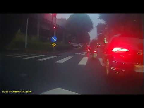 三寶在路中遊走