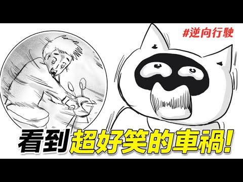 目睹超好笑的車禍！狸貓