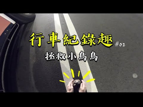 大黑趣 EP.02-拯救受傷小鳥鳥