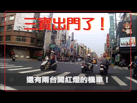 三寶出門了！這是大馬路口～紅燈了唷！