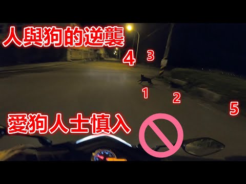 馬路三寶 人與狗的嗆聲  18+